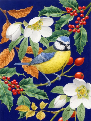 Eurasian Blue Tit Flag Garden Size