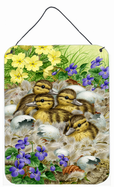 Mallard Duck Chicks Wall and Door Hanging Prints