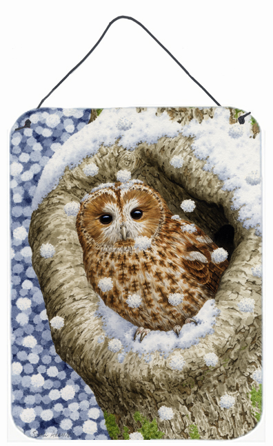 Tawny Owl In The Tree Wall and Door Hanging Prints