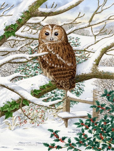Tawny Owl Flag Garden Size