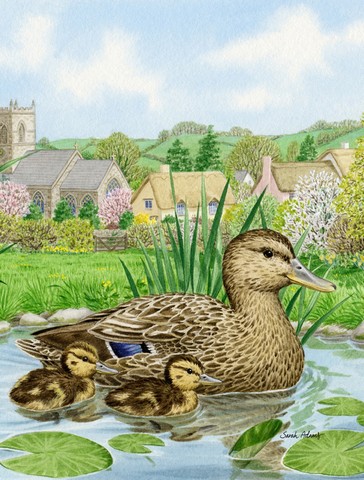 Mallard Duck Flag Garden Size