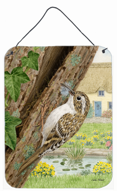 Treecreeper Wall and Door Hanging Prints