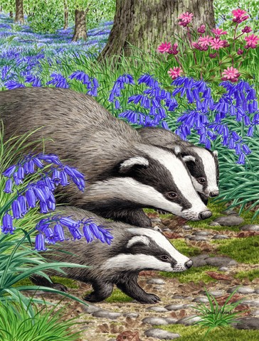 Badgers Flag Garden Size
