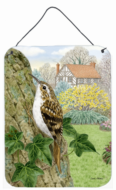ASA2099DS1216 Treecreeper Wall and Door Hanging Prints