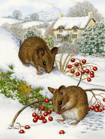 Wood Mice And Berries Flag Garden Size