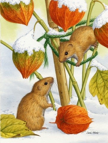 Harvest Mice Flag Garden Size
