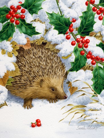 Hedgehog And Holly Flag Garden Size
