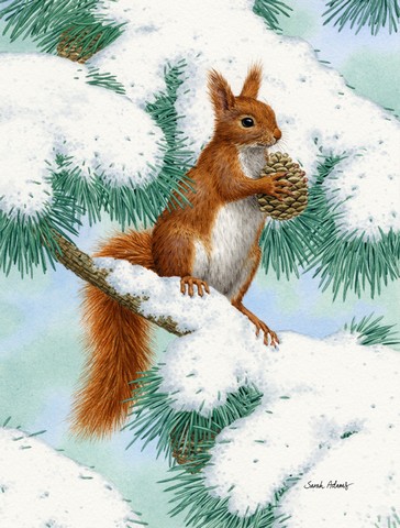 Red Squirrel With Pine Cone Flag Garden Size