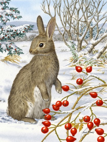 Rabbit With Berries Flag Garden Size