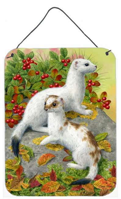 Ermine Stoat Short-Tailed Weasel Wall and Door Hanging Prints