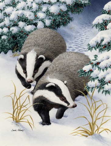 Badgers On The Move Flag Garden Size