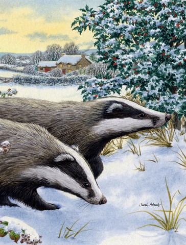 Badgers Two Of A Kind Flag Garden Size