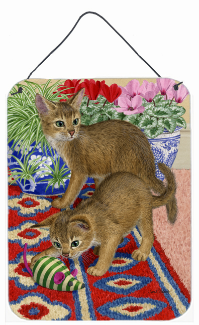 Abyssinian Kitten Wall and Door Hanging Prints