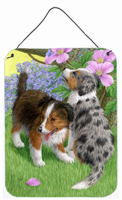 Sheltie Puppies Wall and Door Hanging Prints
