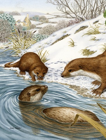 Otter At Play Flag Garden Size
