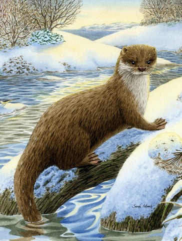 Otter On The Bank Flag Garden Size