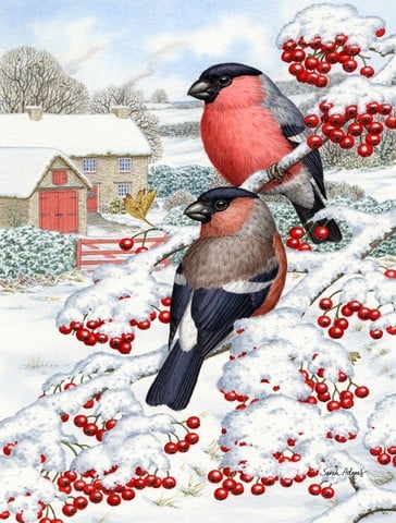 Eurasian Bullfinch Flag Garden Size