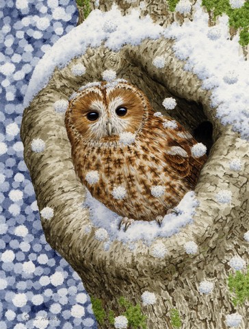 Tawny Owl In The Tree Flag Garden Size