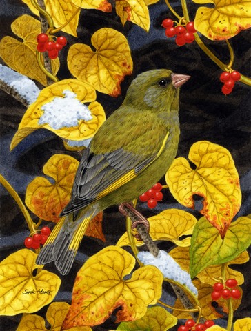 European Greenfinch Flag Garden Size
