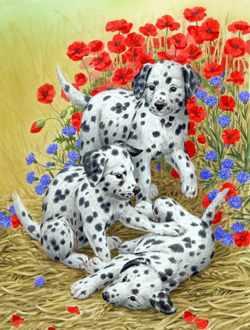 Dalmatian Pups Flag Garden Size