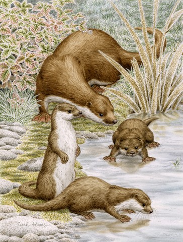 Otter Family Flag Garden Size