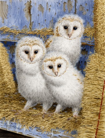Barn Owl Chicks Flag Garden Size