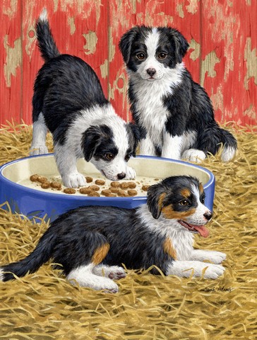 Border Collie Pups Flag Garden Size