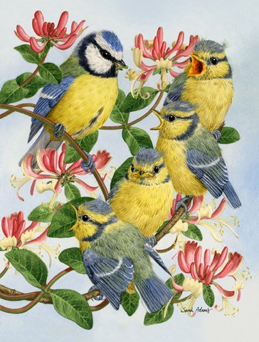 Eurasian Blue Tits At Feeding Time Flag Garden Size
