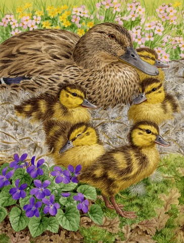 Female Mallard Duck And Ducklings Flag Garden Size