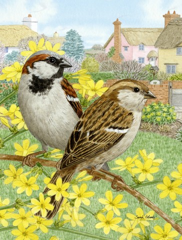 House Sparrows Flag Garden Size