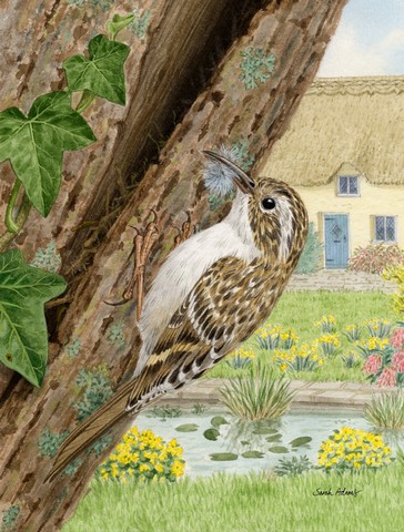 ASA2094GF Treecreeper Flag Garden Size