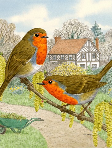 European Robins Flag Garden Size