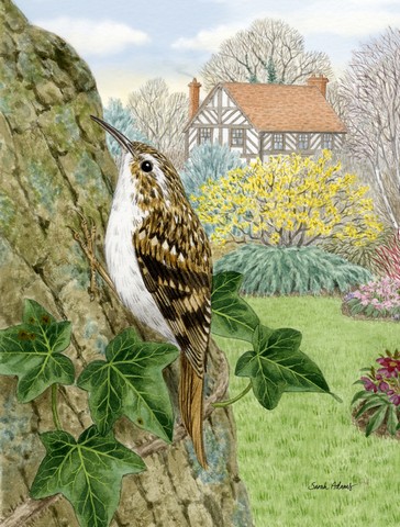 ASA2099GF Treecreeper Flag Garden Size