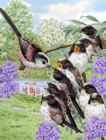 Long Tailed Tits Flag Garden Size