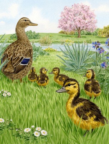 Female Mallard Duck & Ducklings Flag Garden Size