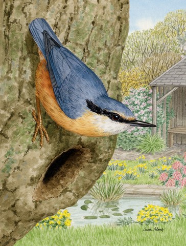 Red-Breasted Nuthatch Flag Garden Size