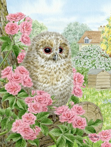 Tawny Owlet Flag Garden Size