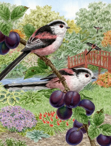 Long Tailed Tits Flag Garden Size