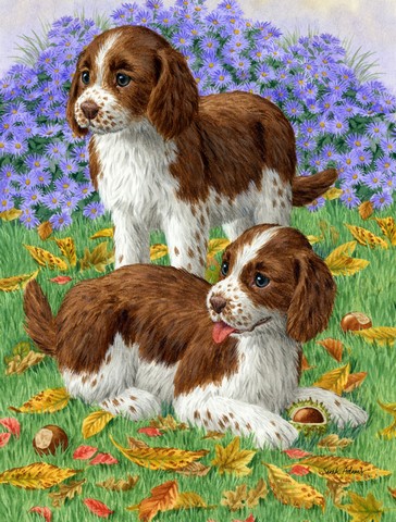 Welsh Springer Spaniel Pups Flag Garden Size