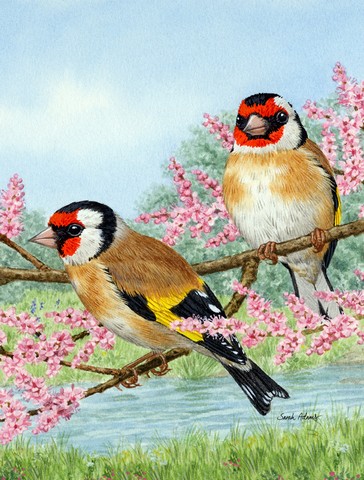 European Goldfinches Flag Garden Size