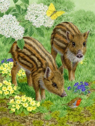 Wild Boar Flag Garden Size