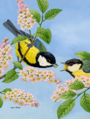 Eurasian Blue Tits Birds Flag Garden Size
