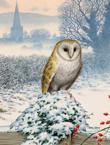 Barn Owl Flag Garden Size