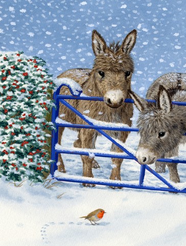 Donkeys And Robin Flag Garden Size