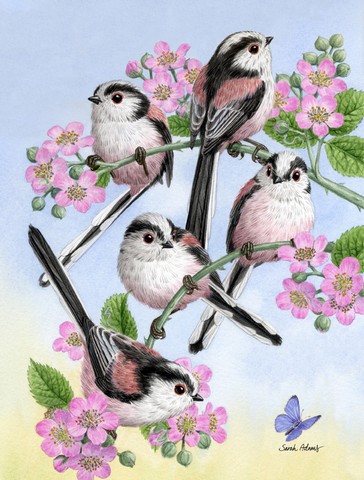 Party Of 5 Long Tailed Tits Flag Garden Size