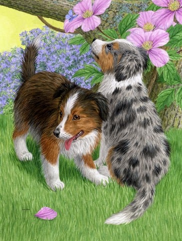 Sheltie Puppies Flag Garden Size