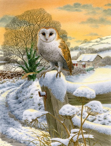 Sunset Barn Owl Flag Canvas House Size
