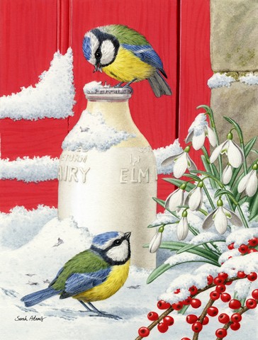 ASA2003CHF Eurasian Blue Tits Birds & Milk Bottles Flag Canvas House Size