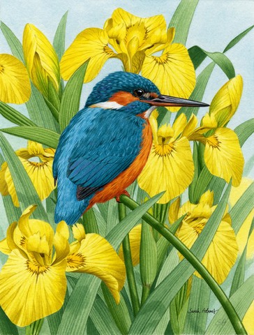 Kingfisher In Yellow Irises Flag Canvas House Size