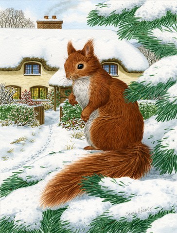 Red Squirrel & Cottage Flag Canvas House Size